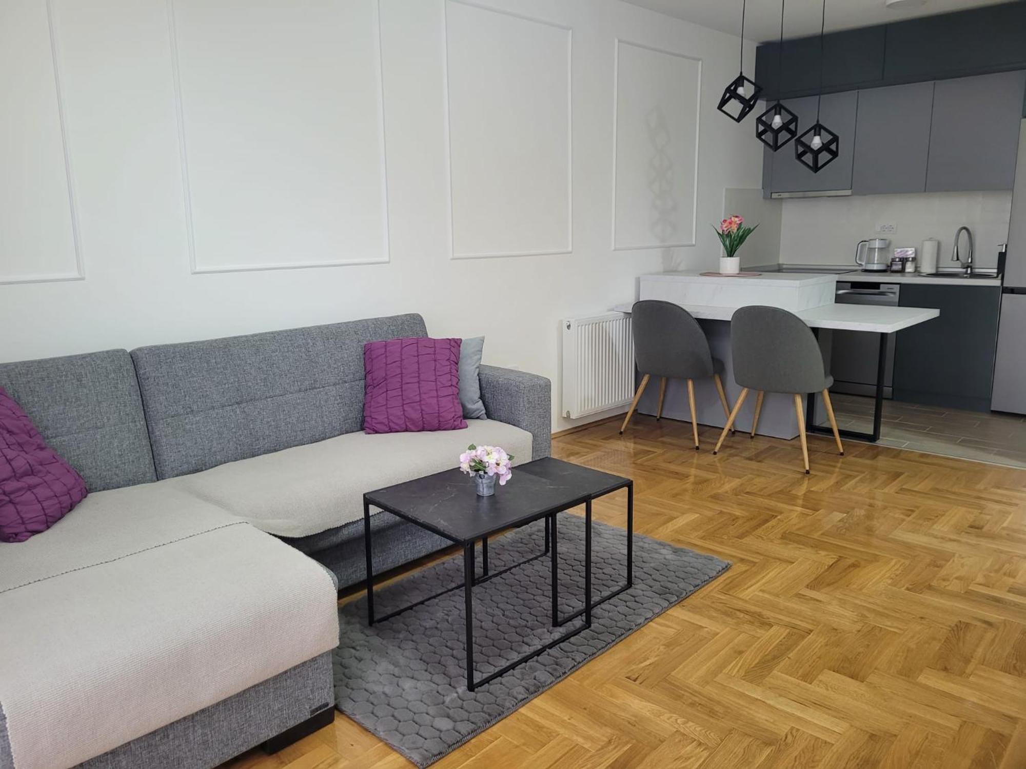 Apartman Ns Private Parking Daire Novi Sad Dış mekan fotoğraf